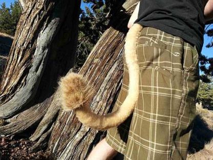 furry lion costume tail